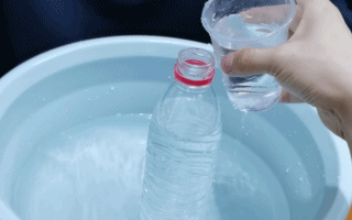 3個親子趣玩科學實驗，給家長的手把手教程來了