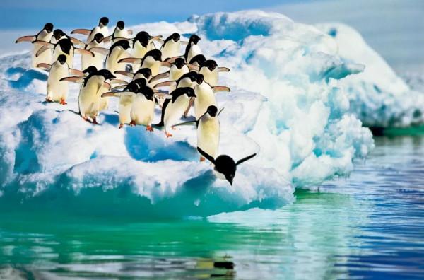 26張極致大片，尋找地球最美的角落