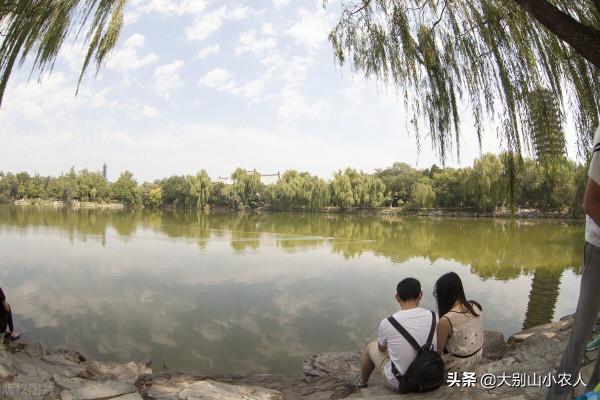 6口大鍋做魚，學生免費吃10天！釣友：不羨慕，就想釣魚