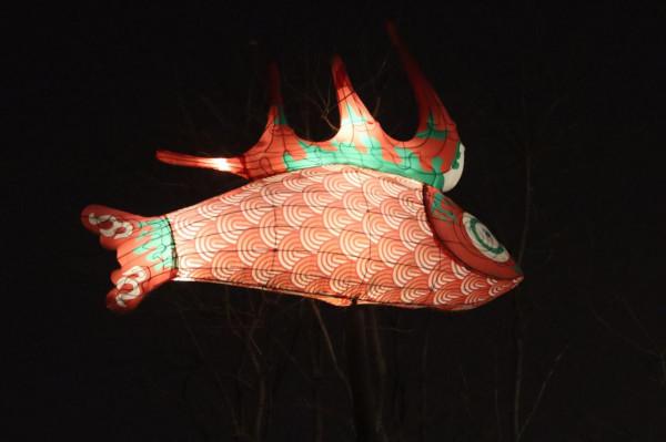 大唐芙蓉園這麼美的花燈，你確定不來嗎？