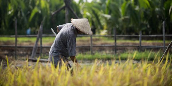 各地遍傳&quot;用工荒&quot;，而農村常住人口不增反減，農民工去哪了？