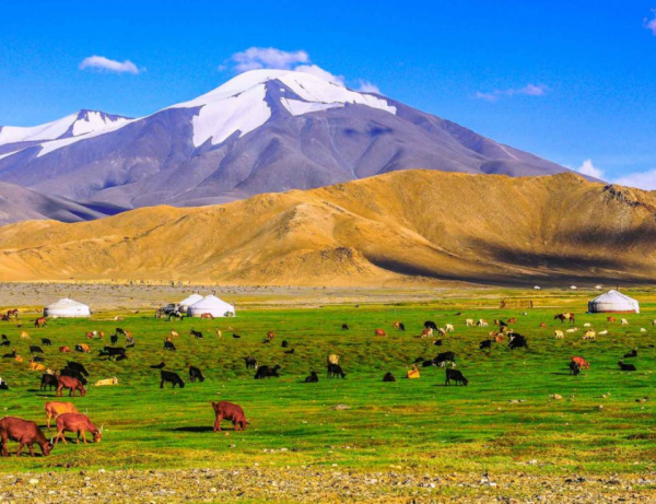 東亞經濟小巨人——了不起的韓國 東亞經濟小巨人——了不起的韓國
