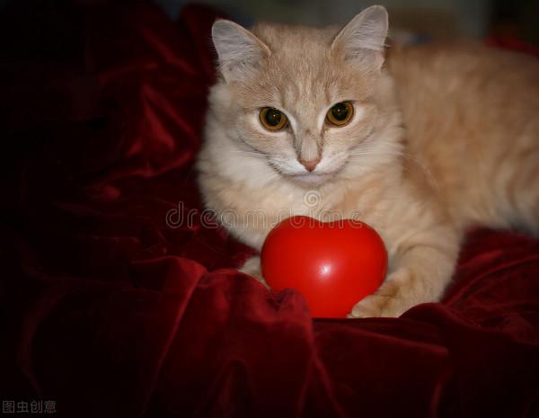 後悔沒有早知道這些道理 後悔沒有早知道這些道理