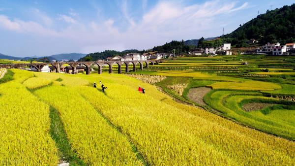為保護耕地地力,一畝地會補貼多少錢呢? 為保護耕地地力,一畝地會補貼多少錢呢?