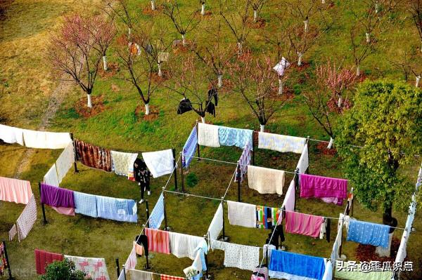 曬過的被子上“太陽”的氣味從何而來？
