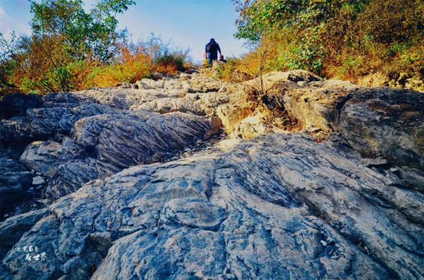 北京有一條“野香山”徒步線路，不僅有絕美紅葉，還藏著香山水庫