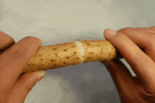 全國立冬喝湯地圖，一碗下去，全身都暖和了