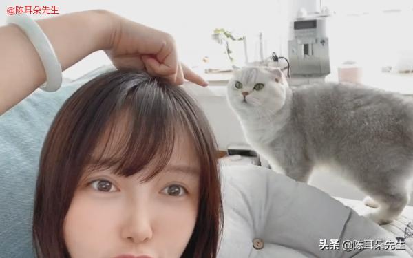 小艾阿姨一個人在家，吃好吃的壽司，貓咪很乖很聽話