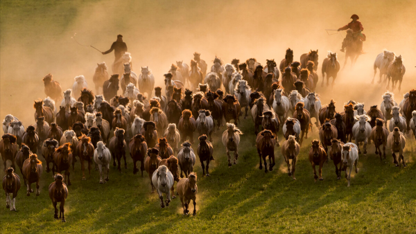 沙漠裡有座白城子，訴說著一個匈奴王國怎樣的故事？