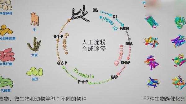 二氧化碳人工合成澱粉,以後不用種地了,喝西北風就能管飽? 二氧化碳人工合成澱粉,以後不用種地了,喝西北風就能管飽?