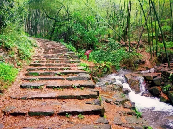 秋日私藏，走起！浙江10條小眾古道，你去過幾條