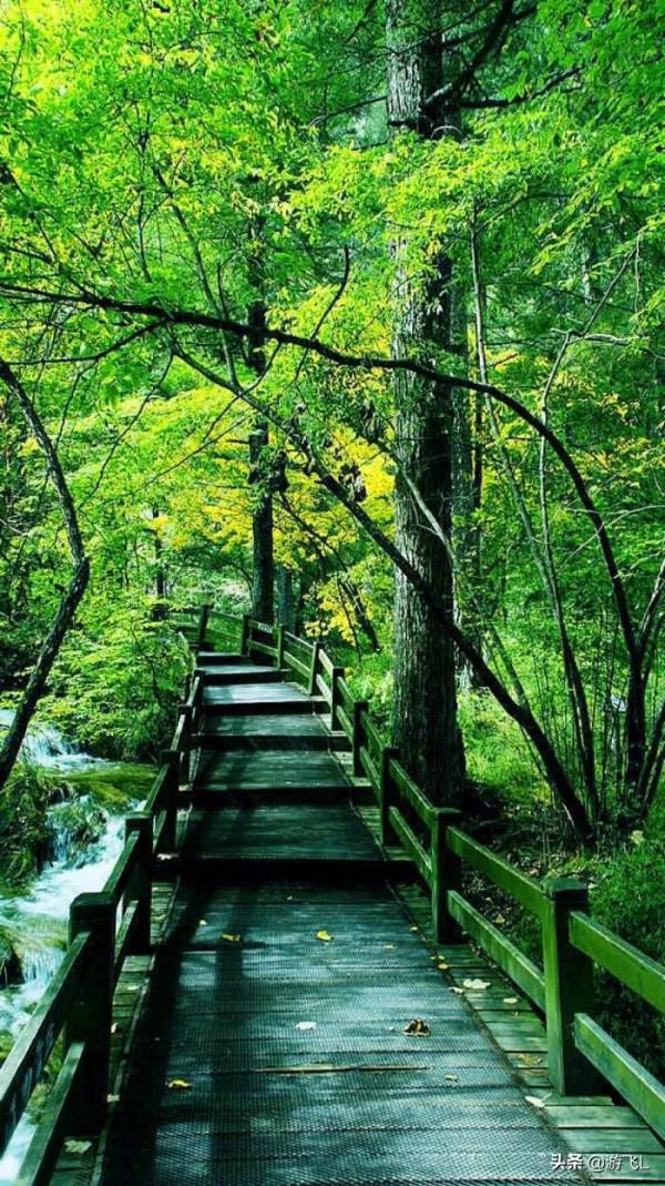 圖文欣賞：九寨溝風光