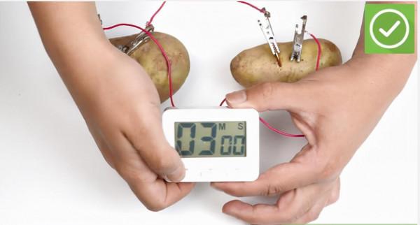如何製作馬鈴薯電池