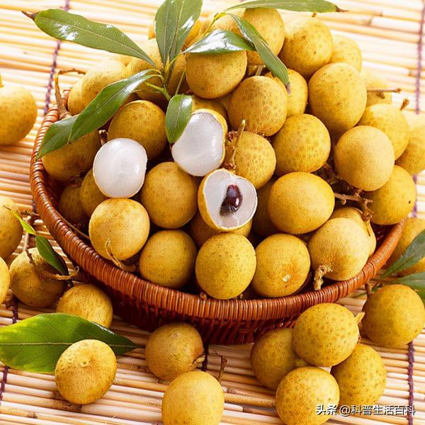 “四類食物”要少吃 “四類食物”要少吃