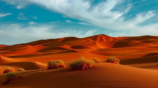 邊疆大漠風光 邊疆大漠風光