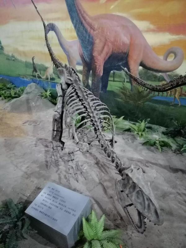 經歷過60年代的人，幾乎無人不知電影《年青的一代》