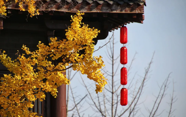 叮~小雪至,你嚐到冬天的味道了嗎? 叮~小雪至,你嚐到冬天的味道了嗎?