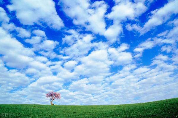 超出你想象的空中草原