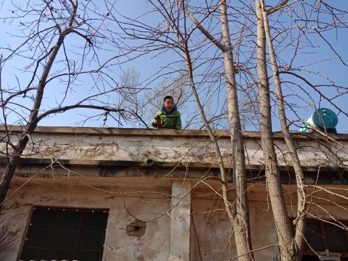 弟弟意外去世留下三個孩子，哥哥抗住世俗和弟媳成家，結局太感人