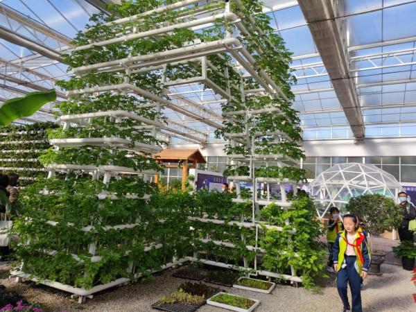參觀現代智慧農業園有感