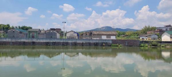 旅遊業受挫，誰來拯救