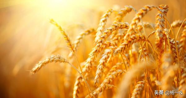 疫情之下，給普通人的幾點實在建議