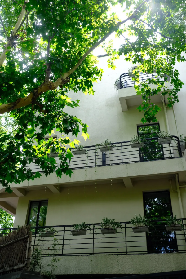 全中國最內卷的馬路,在上海 全中國最內卷的馬路,在上海