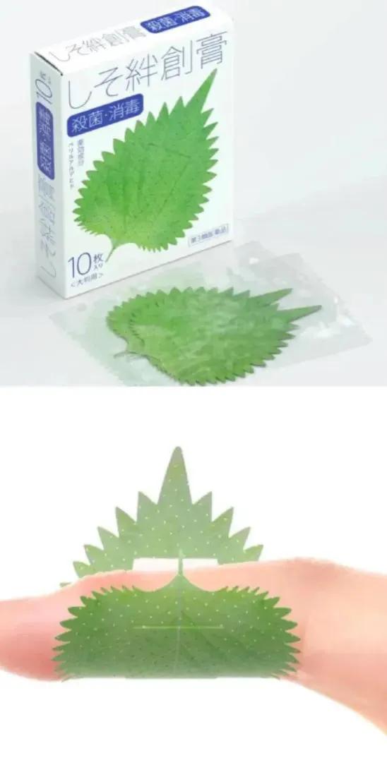 25張圖片看奇妙世界,青花陶瓷服裝,日本透明廁所 25張圖片看奇妙世界,青花陶瓷服裝,日本透明廁所