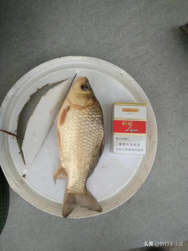 一條河別人連竿你掐腰，別再傻等魚咬鉤，給你四點建議，魚不難釣