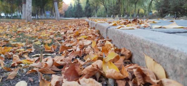 西北塞上江南——秋天