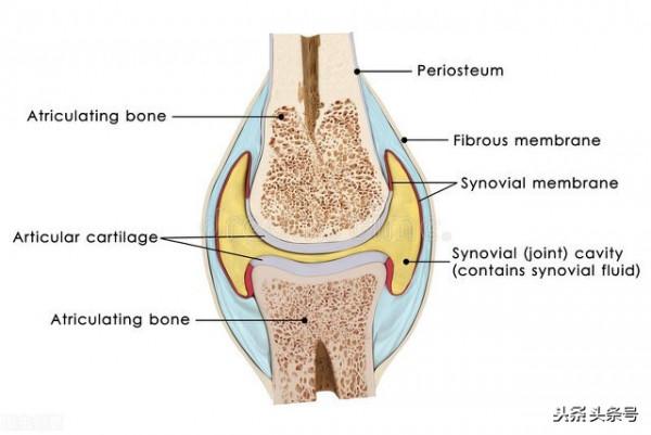 解決疼痛和活動受限的日式關節鬆動術aka(關節運動學治療技術)1 解決疼痛和活動受限的日式關節鬆動術aka(關節運動學治療技術)1