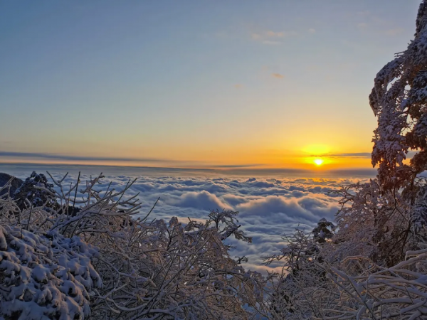 昨日大雪,來看峨眉山最真實的雪景 昨日大雪,來看峨眉山最真實的雪景