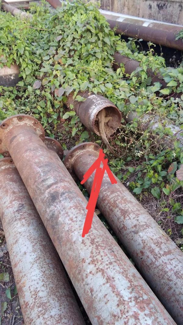 第一次拜訪印度普通人家，印度少女對我深情一笑