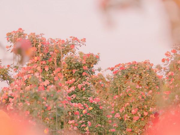 看似簡單，卻很有故事性的星座，不願意把自己的悲傷展現給人看