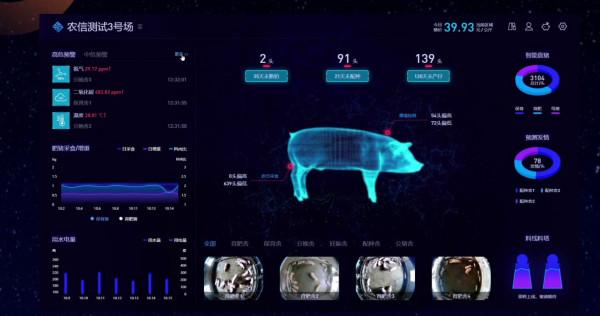 9層豪華“酒店”居住8000頭母豬，上下電梯不掃圈不喂料，長啥樣
