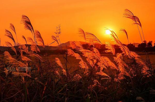 燕山亭 晚秋偶感