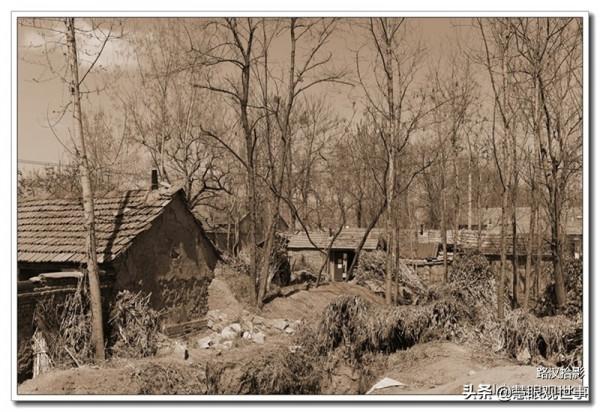 《透明的紅蘿蔔》精彩內容欣賞 《透明的紅蘿蔔》精彩內容欣賞