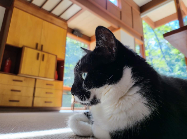 圍觀！三星 Galaxy Z Fold 3評測：全球首款UDC摺疊屏手機，潮奢完美