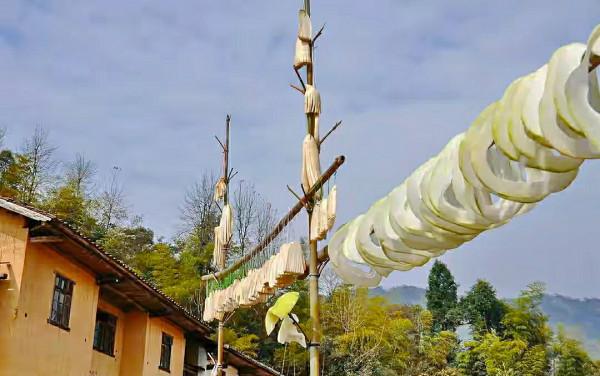 這5種廉價的蔬菜曬成幹，口感翻倍！放一年不壞，冬天燉肉特解饞