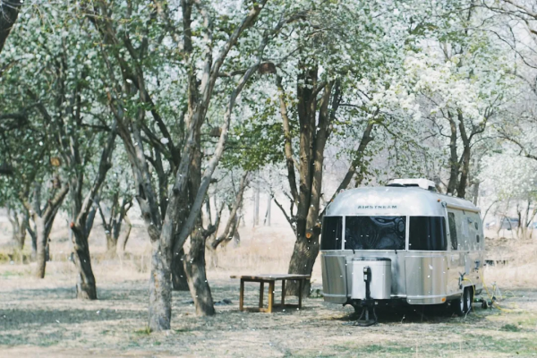 這是我今年的旅行計劃，想抄作業的一起來
