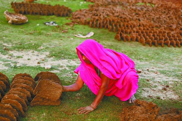 印度牛糞餅一盒賣到205元,經常賣到脫銷,究竟有什麼用處? 印度牛糞餅一盒賣到205元,經常賣到脫銷,究竟有什麼用處?