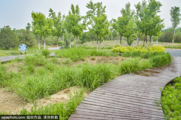 親切!家門口的這些免費小公園,承包你不出遠門的夏天! 親切!家門口的這些免費小公園,承包你不出遠門的夏天!