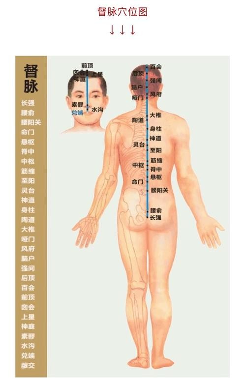 寒冷冬日，快使用人體自帶&OpenCurlyDoubleQuote;暖寶寶&rdquo;