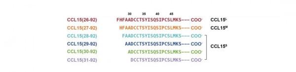 發現關鍵“扳道工” !浙大團隊揭示哮喘藥物研發新思路 發現關鍵“扳道工” !浙大團隊揭示哮喘藥物研發新思路