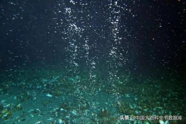 海底熱泉、冷泉生態系統：化能細菌支撐起的深海秘境