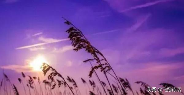 「鄧氏文學.鄧倫炎」臨江仙.珍惜（外一首）