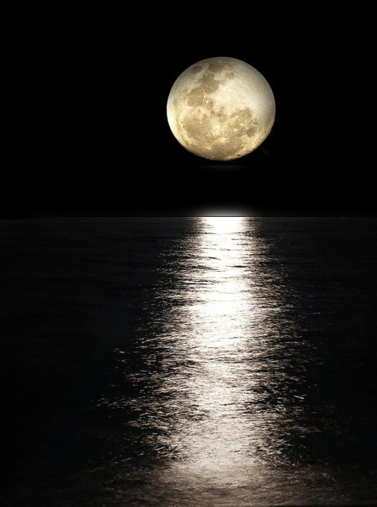 《中秋佳節話詩詞》邀您共度中秋佳節，共賞中秋詩詞