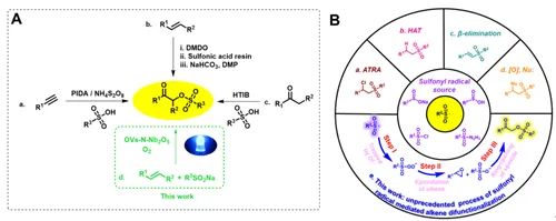 科學家開發出烯烴功能化新策略 科學家開發出烯烴功能化新策略