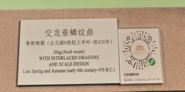 逛博物館的困擾，“觚”“簋”“匜”這都是啥？