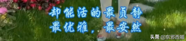 離婚離出懸疑劇？抓馬婆婆的千層套路別把我笑死